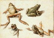 GHEYN, Jacob de II Four Studies of Frogs oil painting on canvas